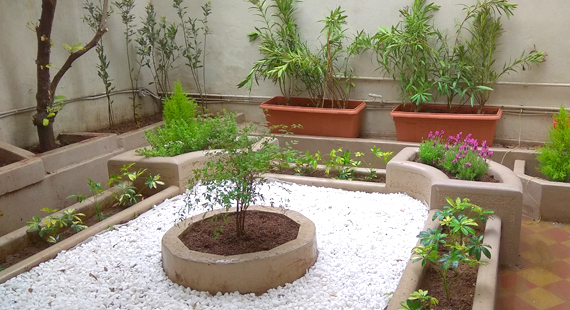Rock Garden Photo