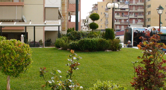 Rock Garden Photo