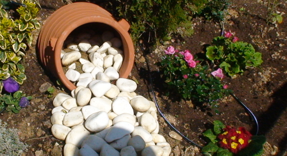 Rock Garden Photo